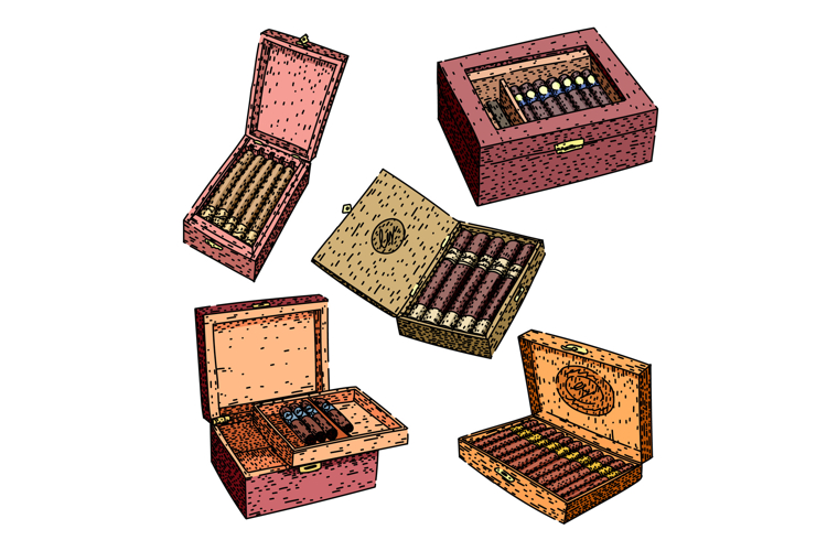 Hand drawn collection of wooden cigar boxes with cigars