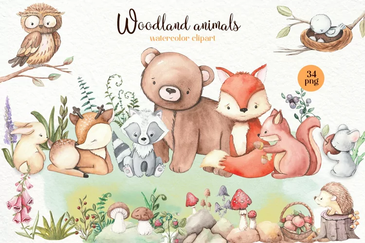 Woodland animals clipart. Forest cute baby animals clipart.