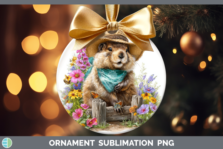 Bauble Clipart Image 15