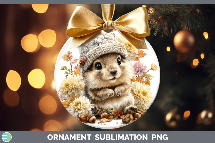 Bauble Clipart Image 17