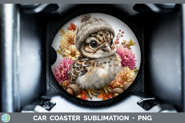Car Coaster Sublimation Designs Image 17