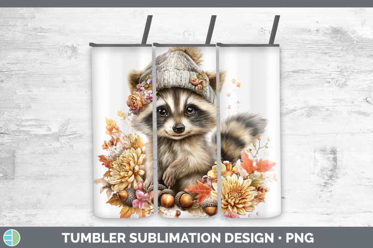 Raccoon Clipart Image 5