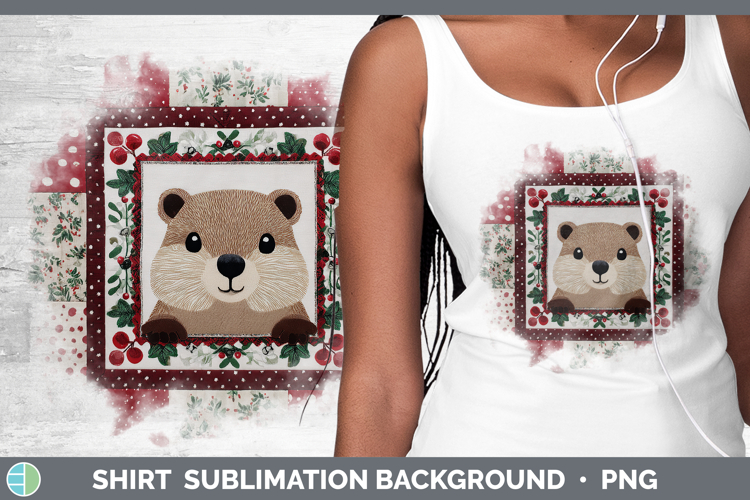 Christmas Background Image 24
