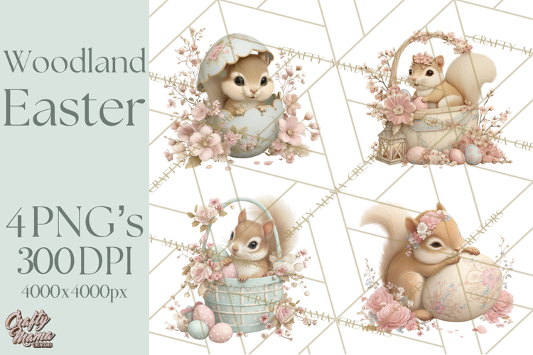 Squirrel Illustration Image 11