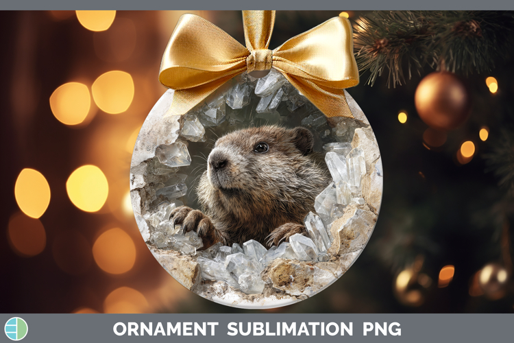 Woodland Geode Beaver Ornament Sublimation Bauble Designs