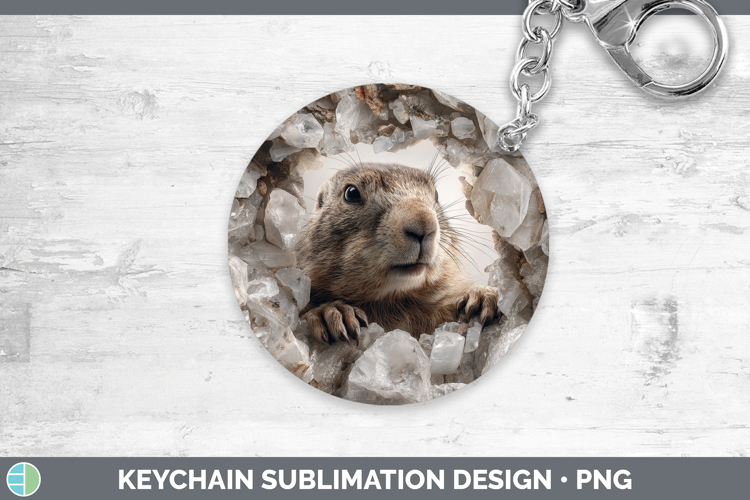 Groundhog Clipart Image 14