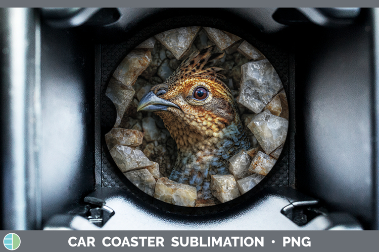 Car Coaster Sublimation Designs Image 7