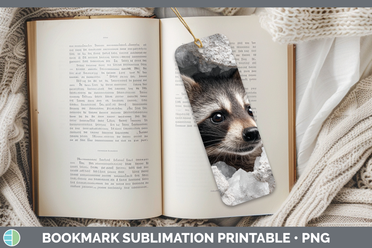 Raccoon Clipart Image 23