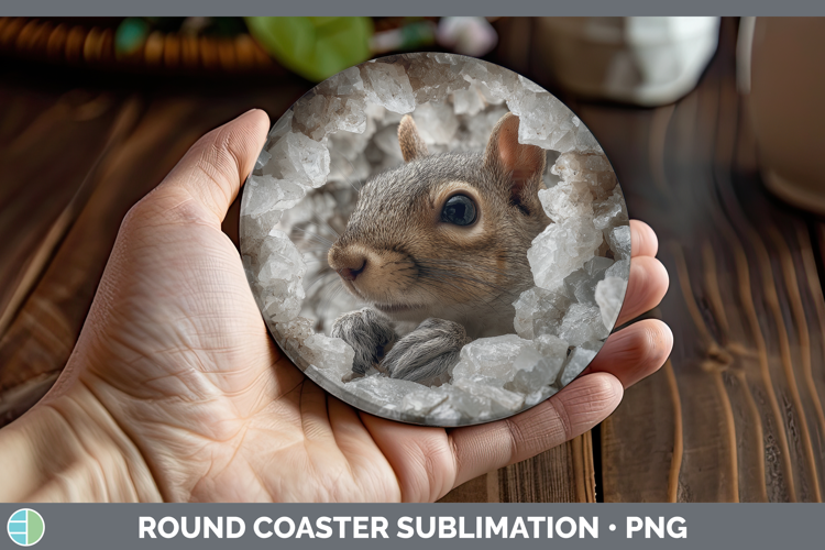 Woodland Geode Squirrel Round Coaster Sublimation Coaster De