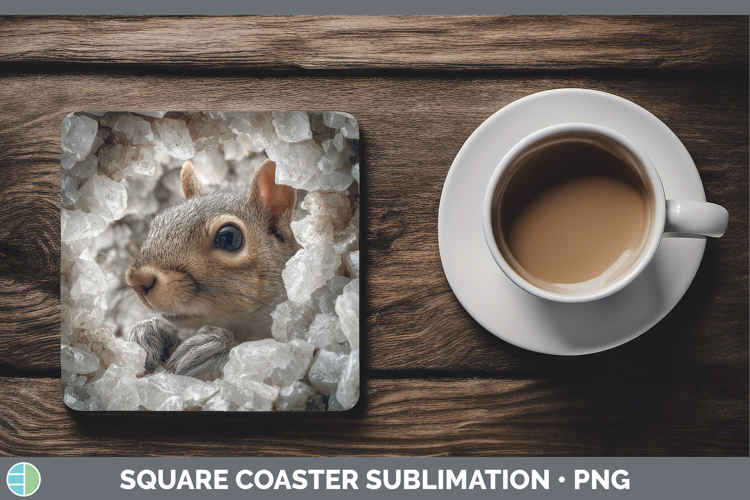 Woodland Geode Squirrel Square Coaster Sublimation Coaster D