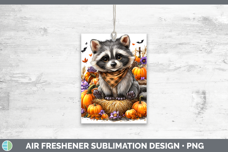 Raccoon Clipart Image 14