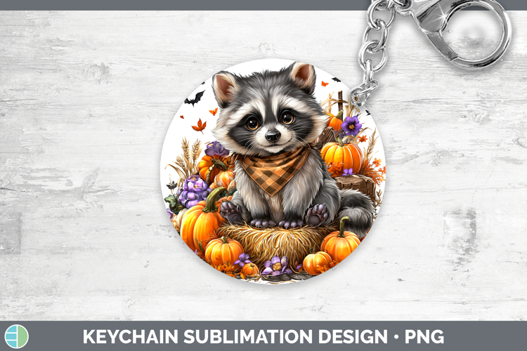 Raccoon Clipart Image 12