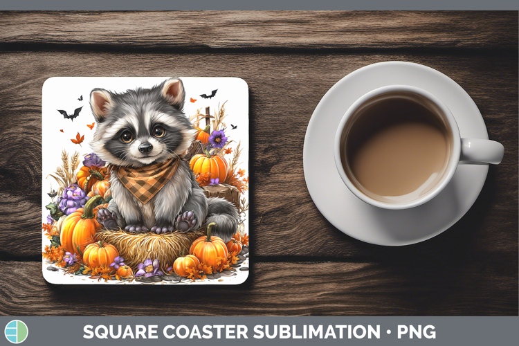 Raccoon Clipart Image 4