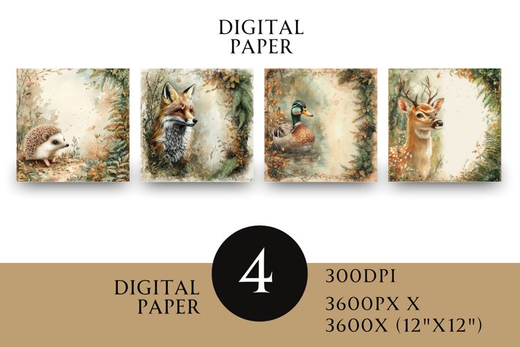 Autumn Graphics Image 19