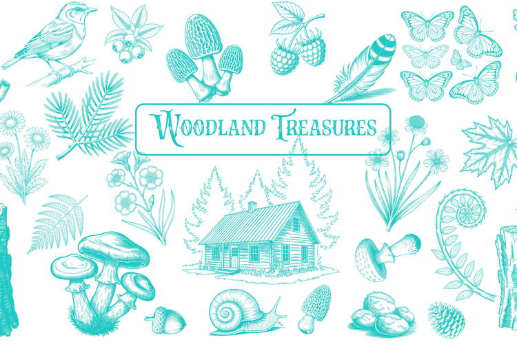 Woodland Sketch Art Rustic Cottagecore