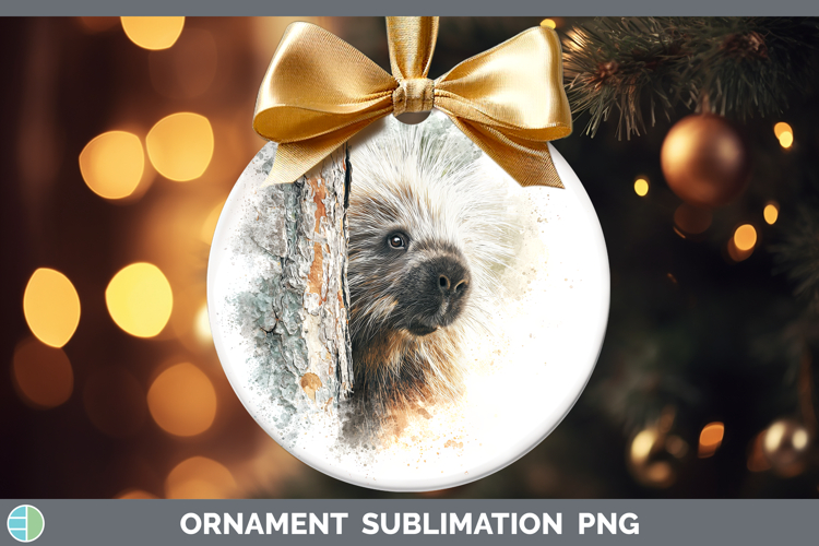 Ornament Clipart Image 11