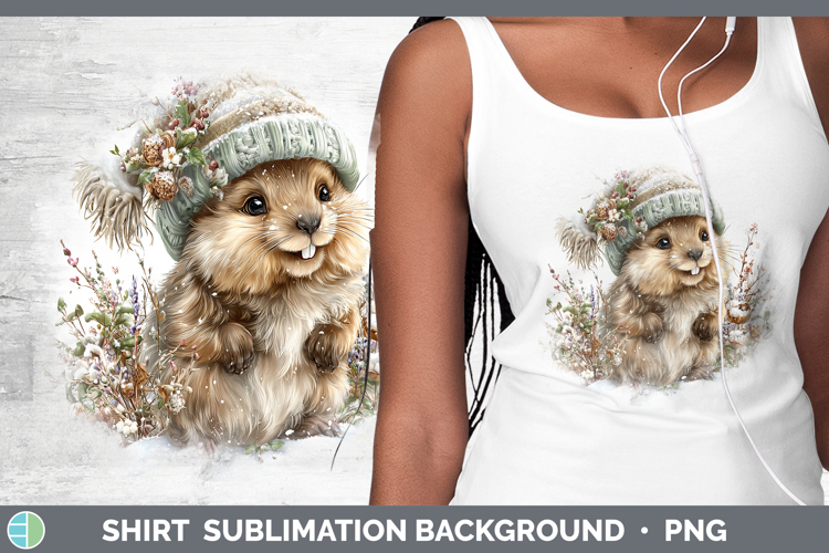 Winter Backgrounds Image 23