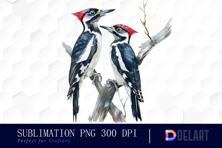 Bird Clipart Image 23