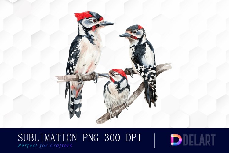 Birds Png Image 19