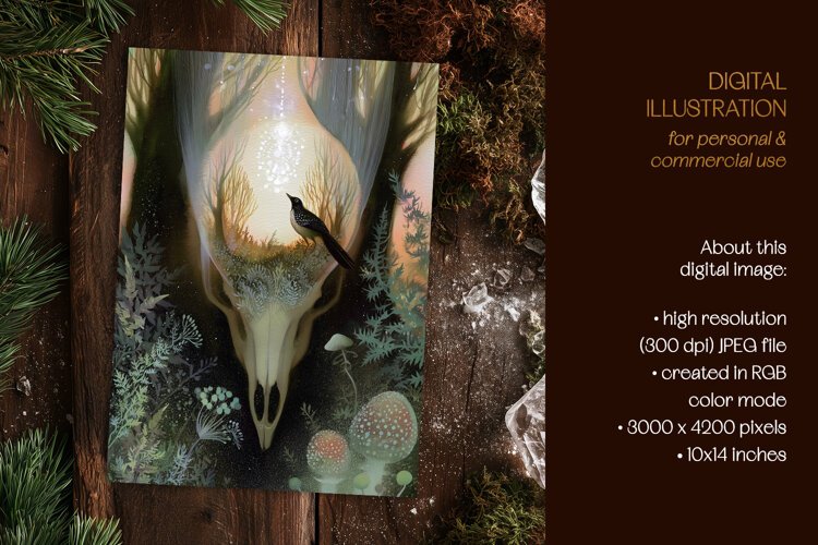 Mystical World Within a Bird Skull Illustration example image 1