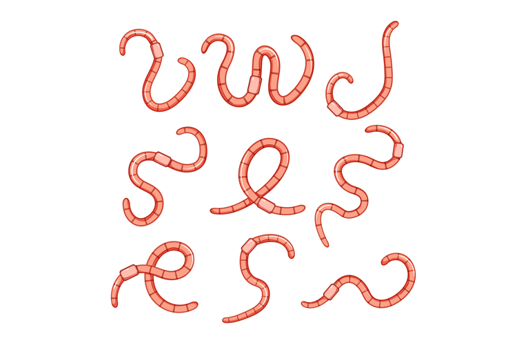 worm set cartoon