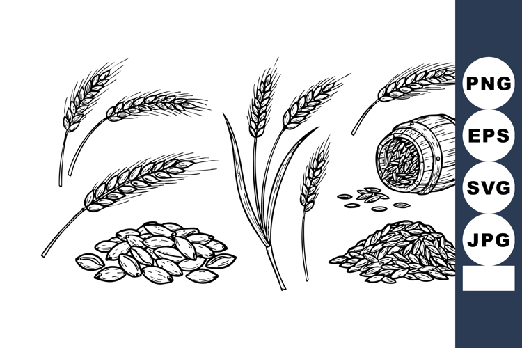 Wheat Clipart Image 7