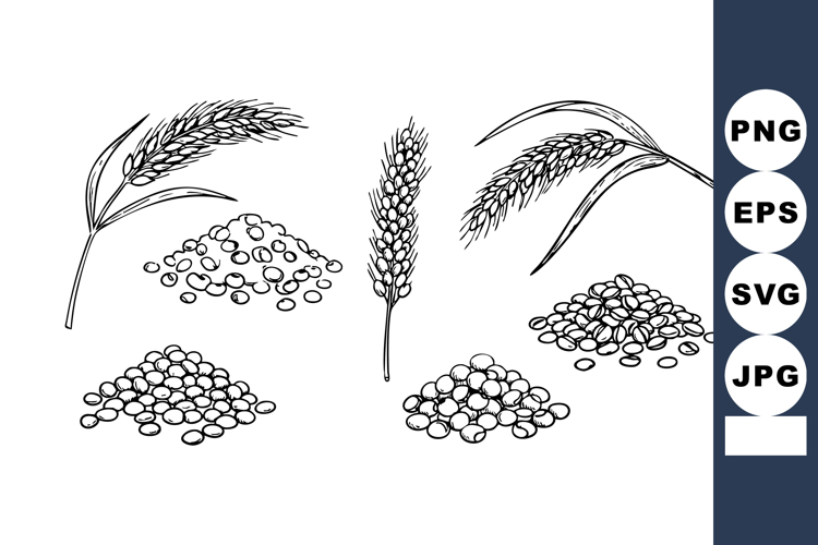 Wheat Clipart Image 6