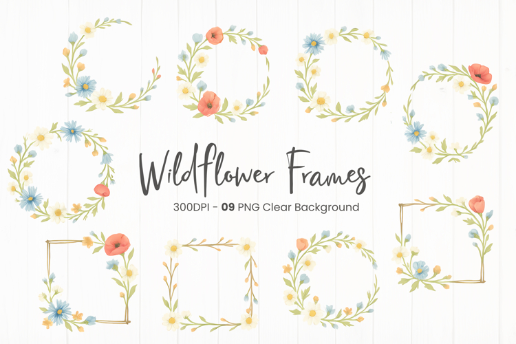 Wildflower Illustration Image 6