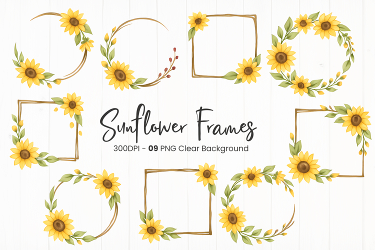 Sunflower PNG Image 23