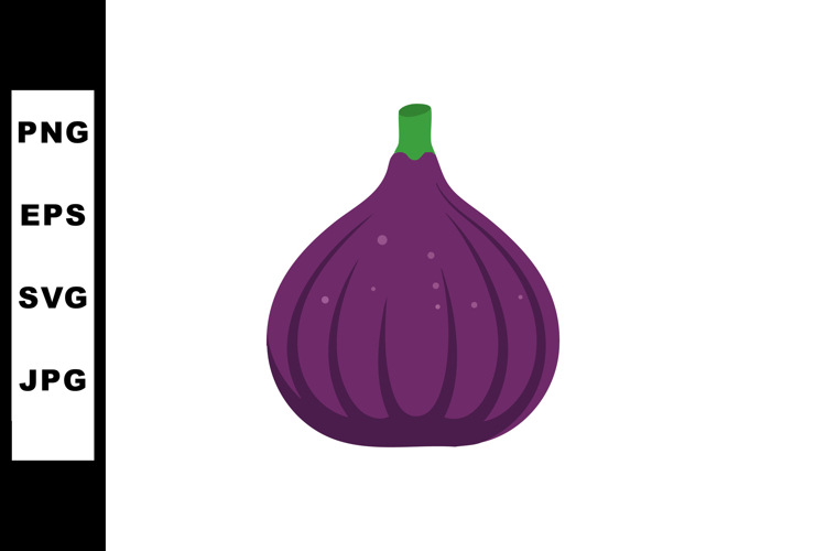 Purple Fig Fruit Illustration with Green Stem Vector Graphic example image 1