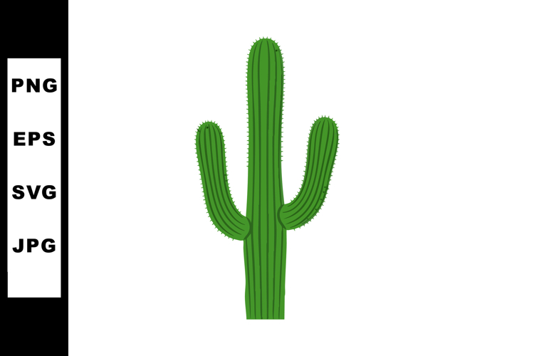 Cactus Clipart Image 22