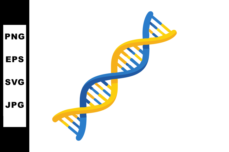 DNA double helix structure blue and yellow strands vector il example image 1