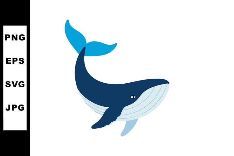 Whale Illustration Image 15