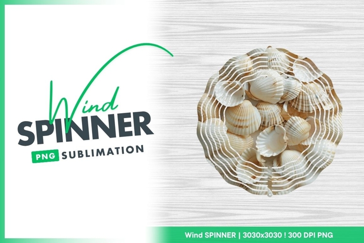 Shells Clipart Image 12