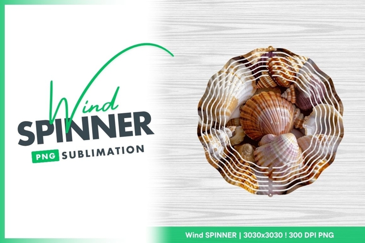 Shells Clipart Image 11
