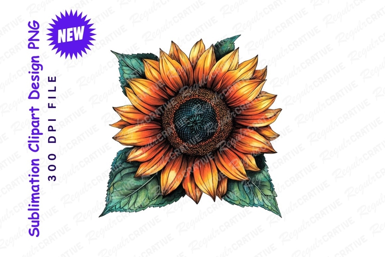 Sunflower Clipart Image 11
