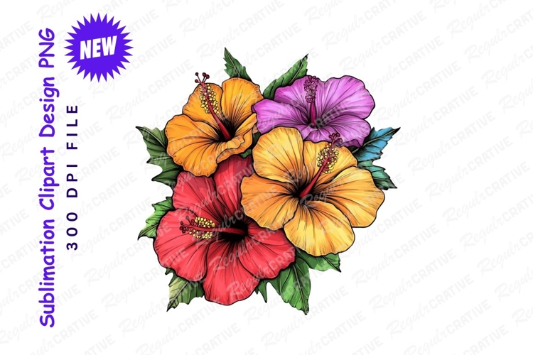 Hibiscus Illustration Image 4