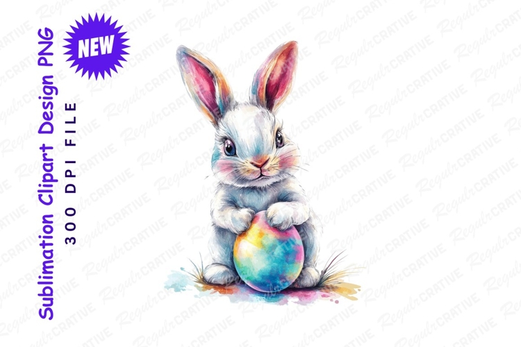 Rabbit Illustration Image 4
