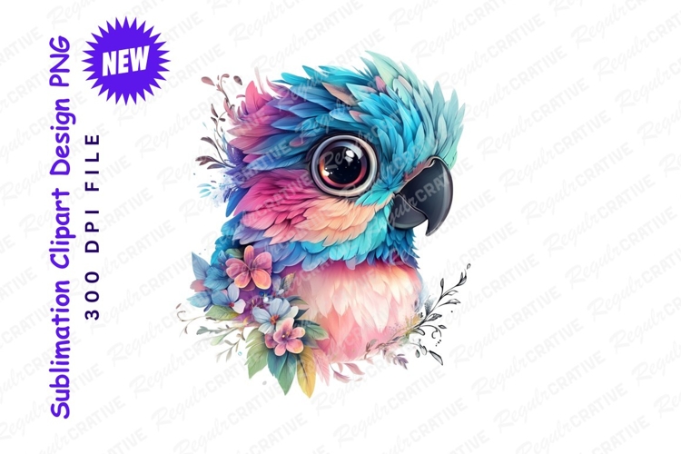 Parrot Illustration Image 24
