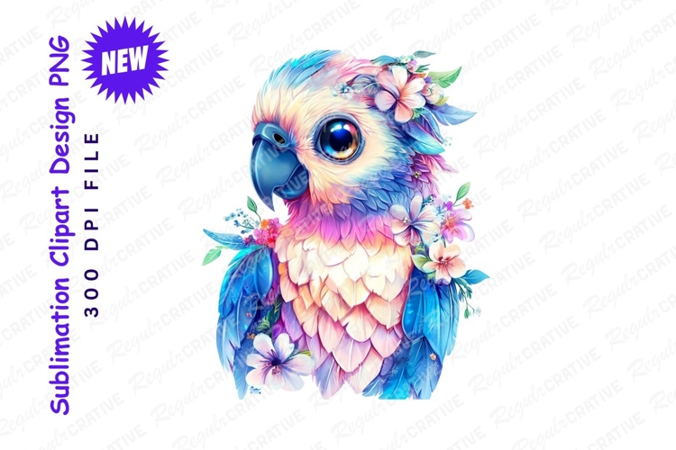 Parrot Clipart Image 24