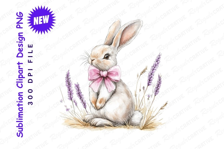 Bunny Clipart Image 13