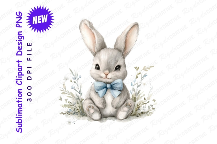 Rabbit Illustration Image 18