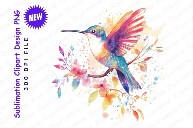 Hummingbird Clipart Image 13