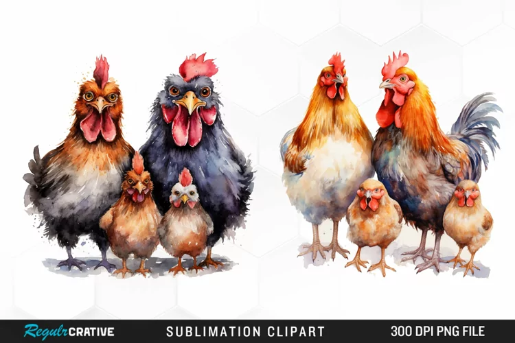 Watercolor Family Chicken PNG Clipart