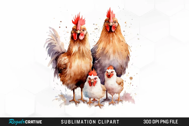 Watercolor Family Chicken PNG Clipart