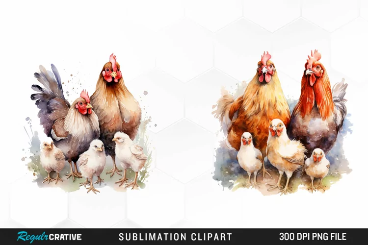 Watercolor Family Chicken PNG Clipart