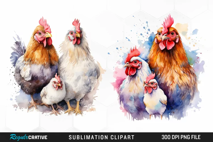 Watercolor Family Chicken PNG Clipart