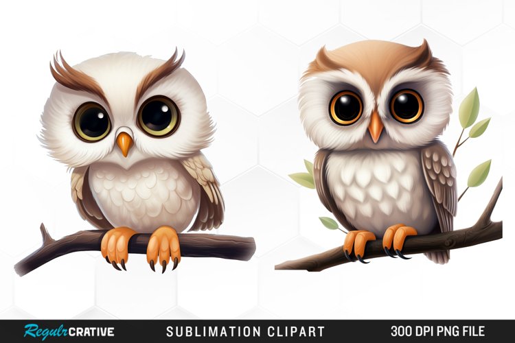 Owl Clipart Image 14