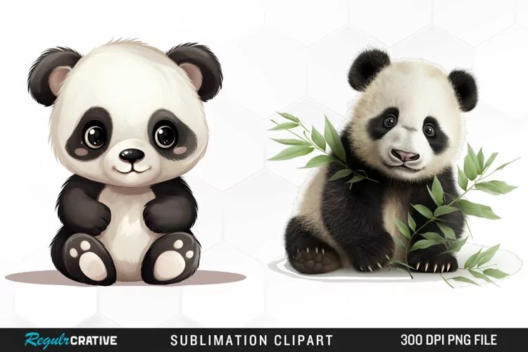 Watercolor Baby Panda Illustration Clipart