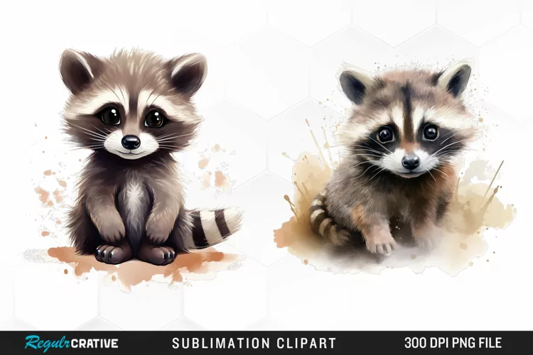 Watercolor Cute Raccoon PNG Clipart